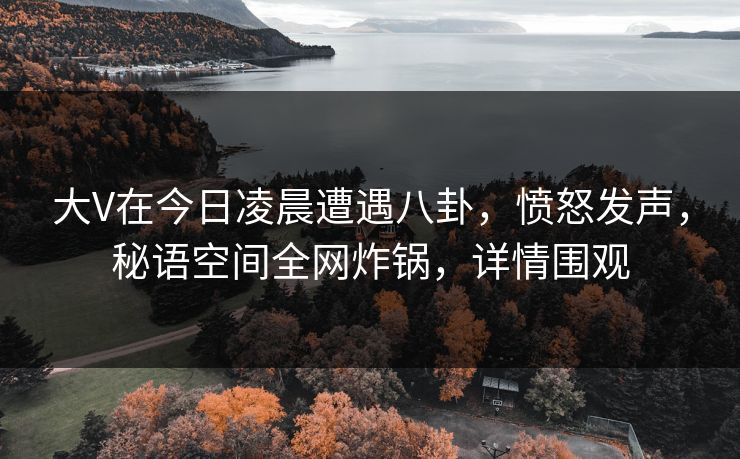 大V在今日凌晨遭遇八卦，愤怒发声，秘语空间全网炸锅，详情围观